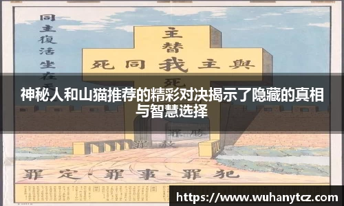 神秘人和山猫推荐的精彩对决揭示了隐藏的真相与智慧选择