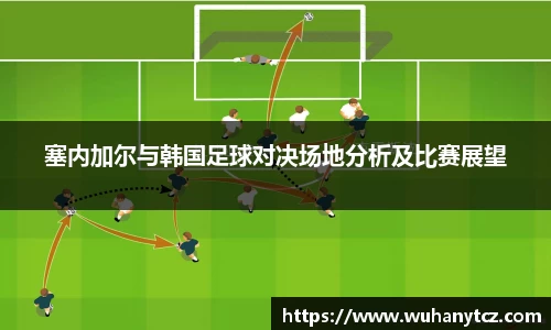 塞内加尔与韩国足球对决场地分析及比赛展望